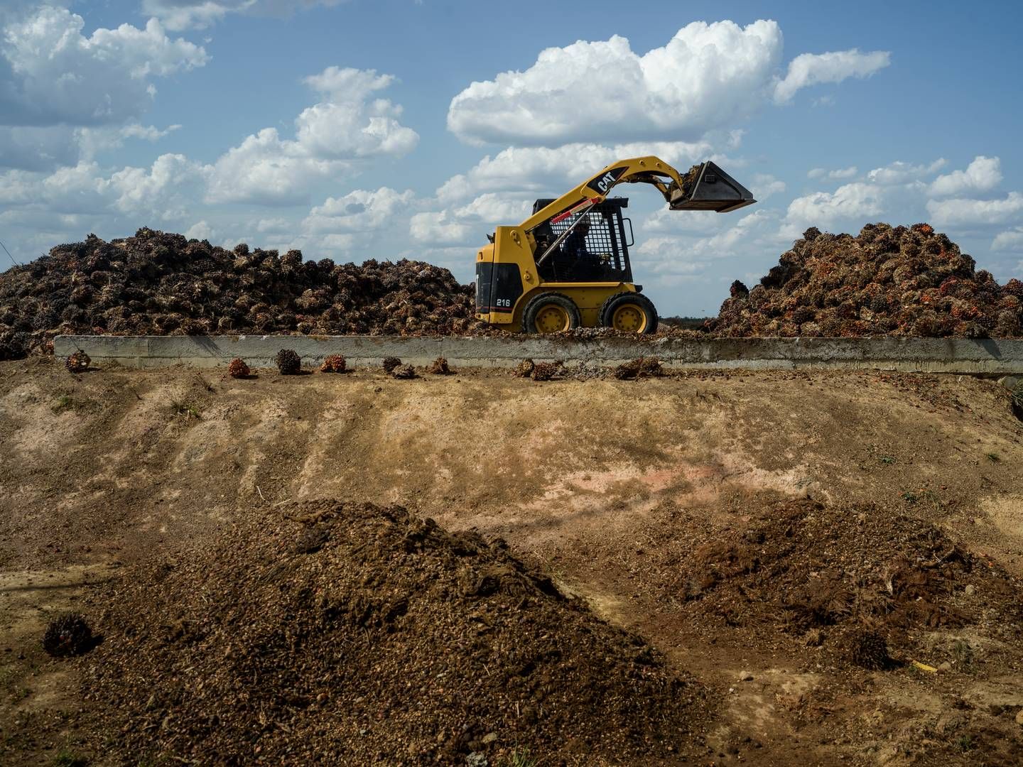 ”Earth Overshoot Day” for i år er placeret en enkelt dag tidligere end i 2023, hvor datoen dengang blev beregnet til 2. august. | Foto: Mads Nissen