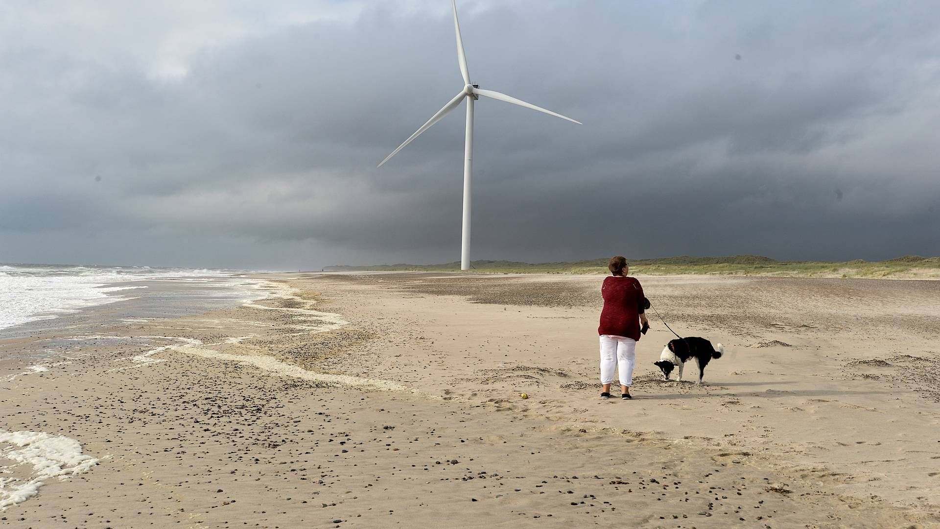 Denmark's Wind Energy Expansion and Climate Goals