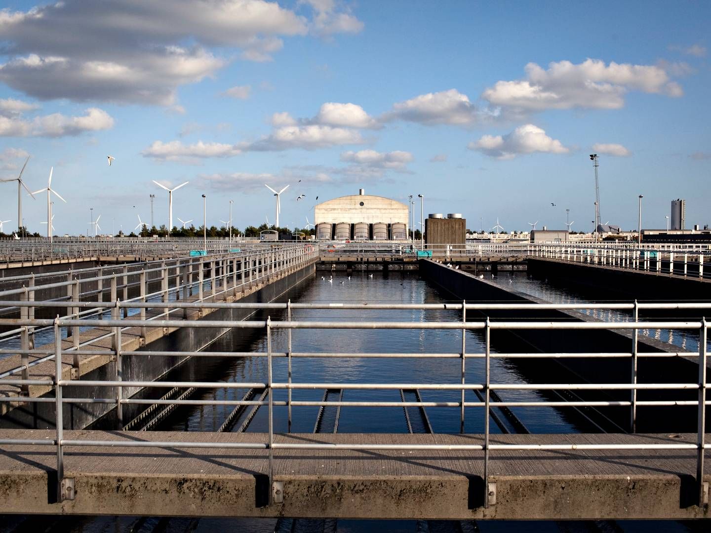 Danmarks største renseanlæg, Lynnetten på Amager, | Foto: Arkivfoto: Miriam Dalsgaard