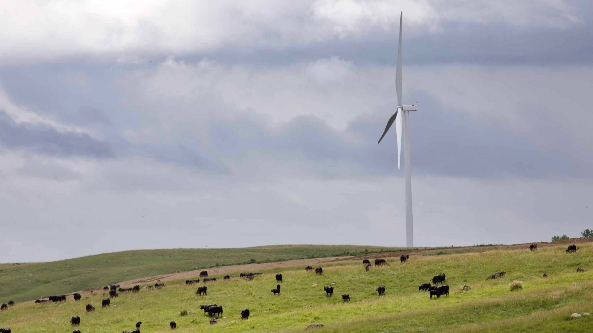 Transmission queues, among other things, lead National Grid Renewables to drop wind farms. | Photo: National Grid Renewables