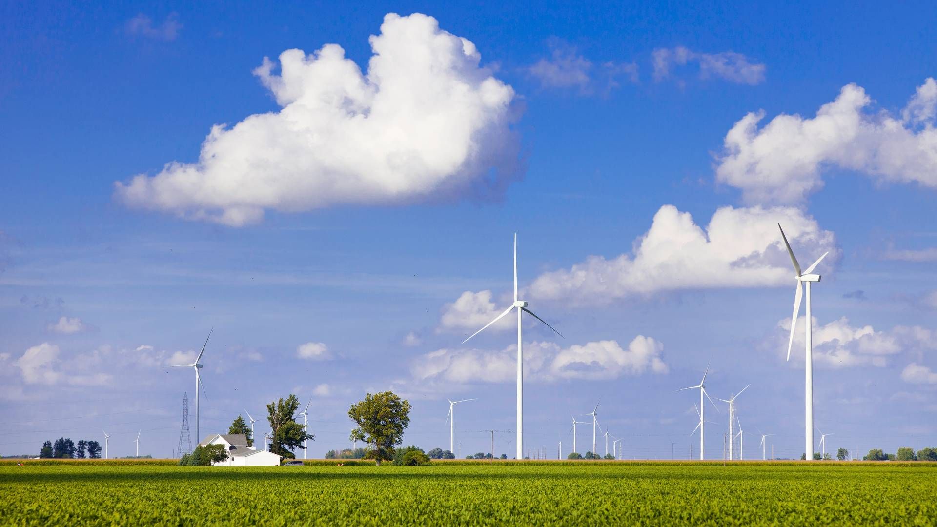 Foto: Iberdrola