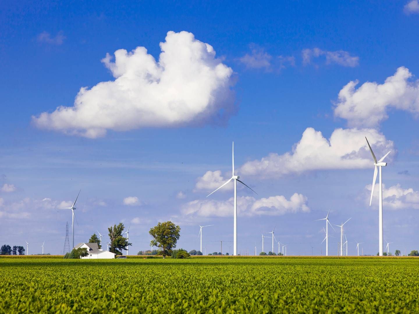 Foto: Iberdrola