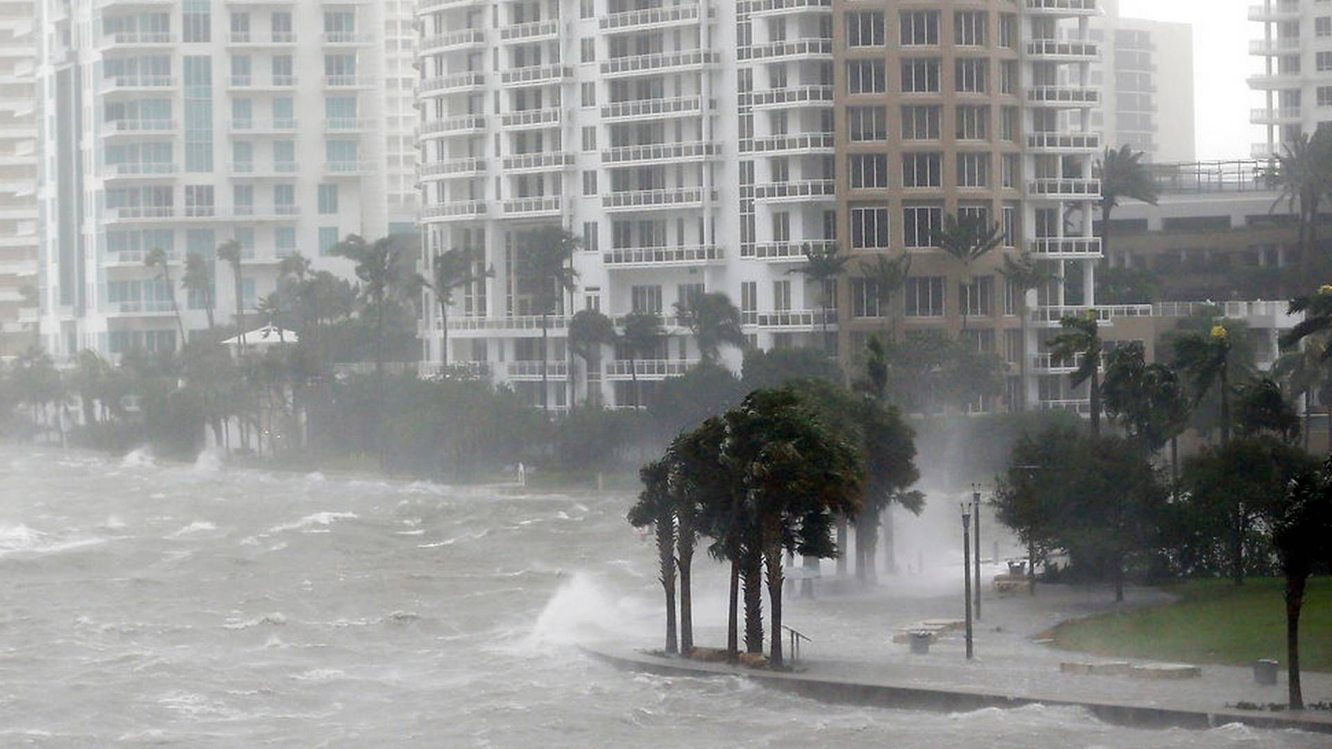 In September 2017, the hurricane Irma passed Miami and caused rising sea levels and havoc in the US costal city. This is one example of the climate volatility investors need to take into consideration in their investments, according to Andrew Parry, Head of Sustainable Investing at British Hermes Investment Management. | Photo: (AP Photo/Wilfredo Lee)