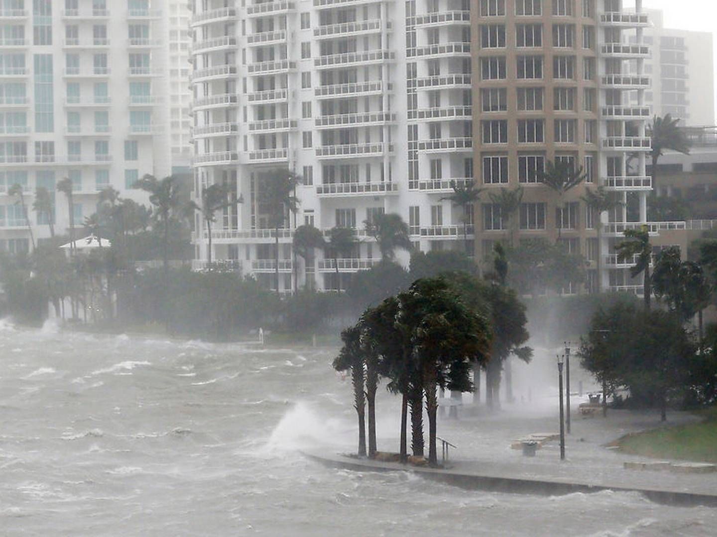 In September 2017, the hurricane Irma passed Miami and caused rising sea levels and havoc in the US costal city. This is one example of the climate volatility investors need to take into consideration in their investments, according to Andrew Parry, Head of Sustainable Investing at British Hermes Investment Management. | Photo: (AP Photo/Wilfredo Lee)