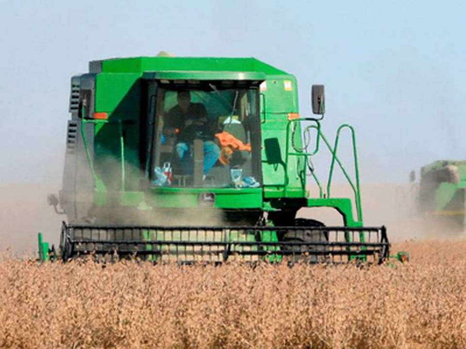 Der høstes sojabønner i Nebraska. Amerikansk landbrug er den største leverandør af oliefrø til Kina. | Foto: AP/Nati Harnik