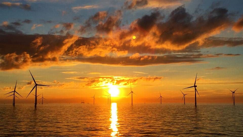 Green bonds are generally defined as fixed-income instruments where the capital raised is earmarked for the financing of projects that benefit the environment or climate, for instance, a wind park. | Photo: Siemens Gamesa, PR