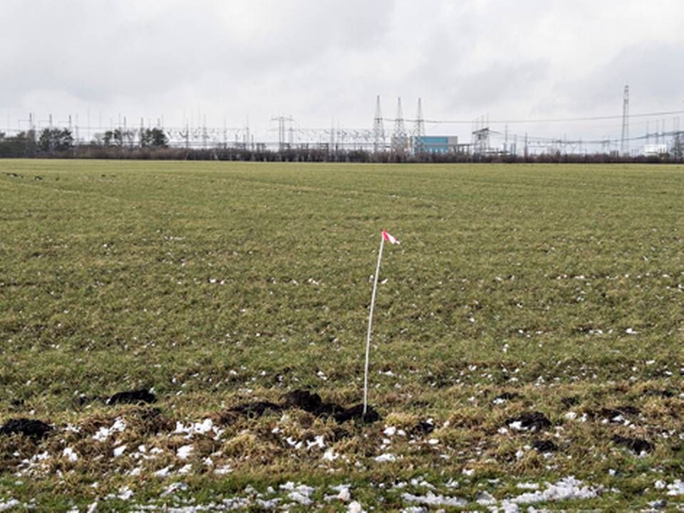 På denne mark vil Apple bygge et datacenter. Dets energiforbrug er talt med i basisfremskrivningen. Teoretisk kunne en af de vindmøller, Apple også vil opføre, også stå her. Den ville i så fald ikke være talt med. | Foto: ritzau scanpix/Henning Bagger