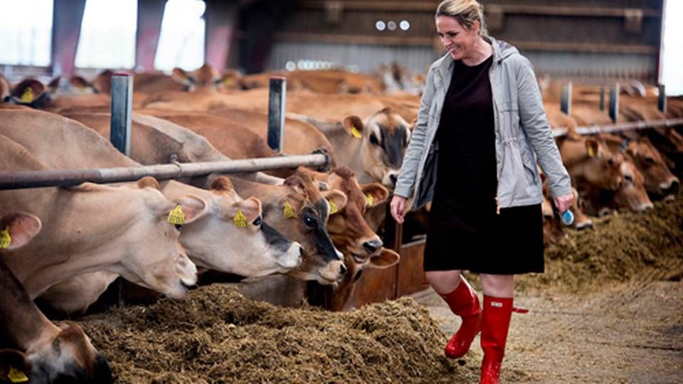 Adm. direktør i Landbrug & Fødevarer Karen Hækkerup. | Foto: Nils Meilvang/Ritzau Scanpix