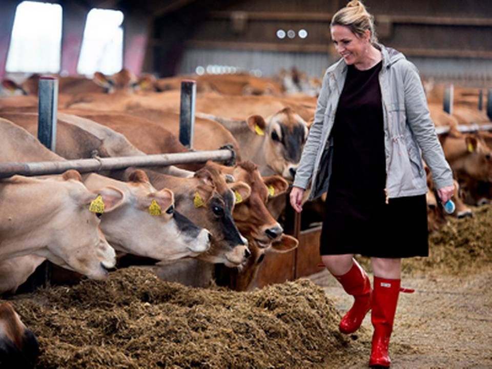 Adm. direktør i Landbrug & Fødevarer Karen Hækkerup. | Foto: Nils Meilvang/Ritzau Scanpix