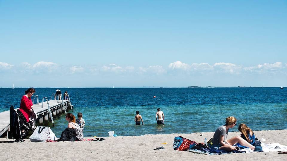 Sommerliv ved Amager Strandpark. Nu er endnu en strandpark på vej i København. | Foto: Ritzau Scanpix/Ida Marie Odgaard
