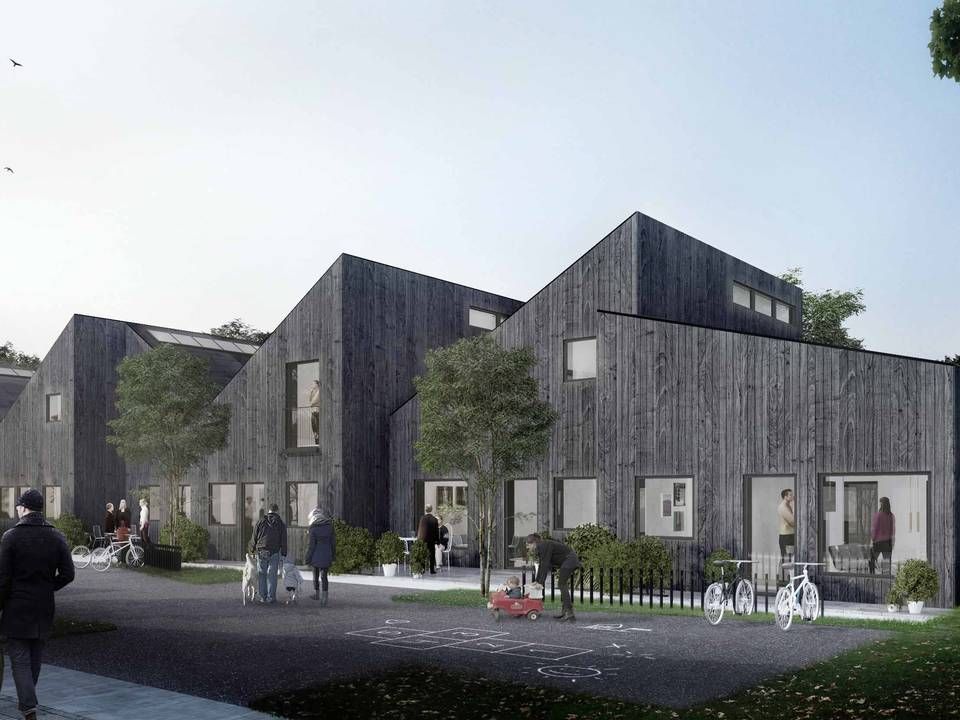 Boligselskabet Sjælland vil foruden moderniseringerne opføre mindst 250 træboliger. | Foto: PR.