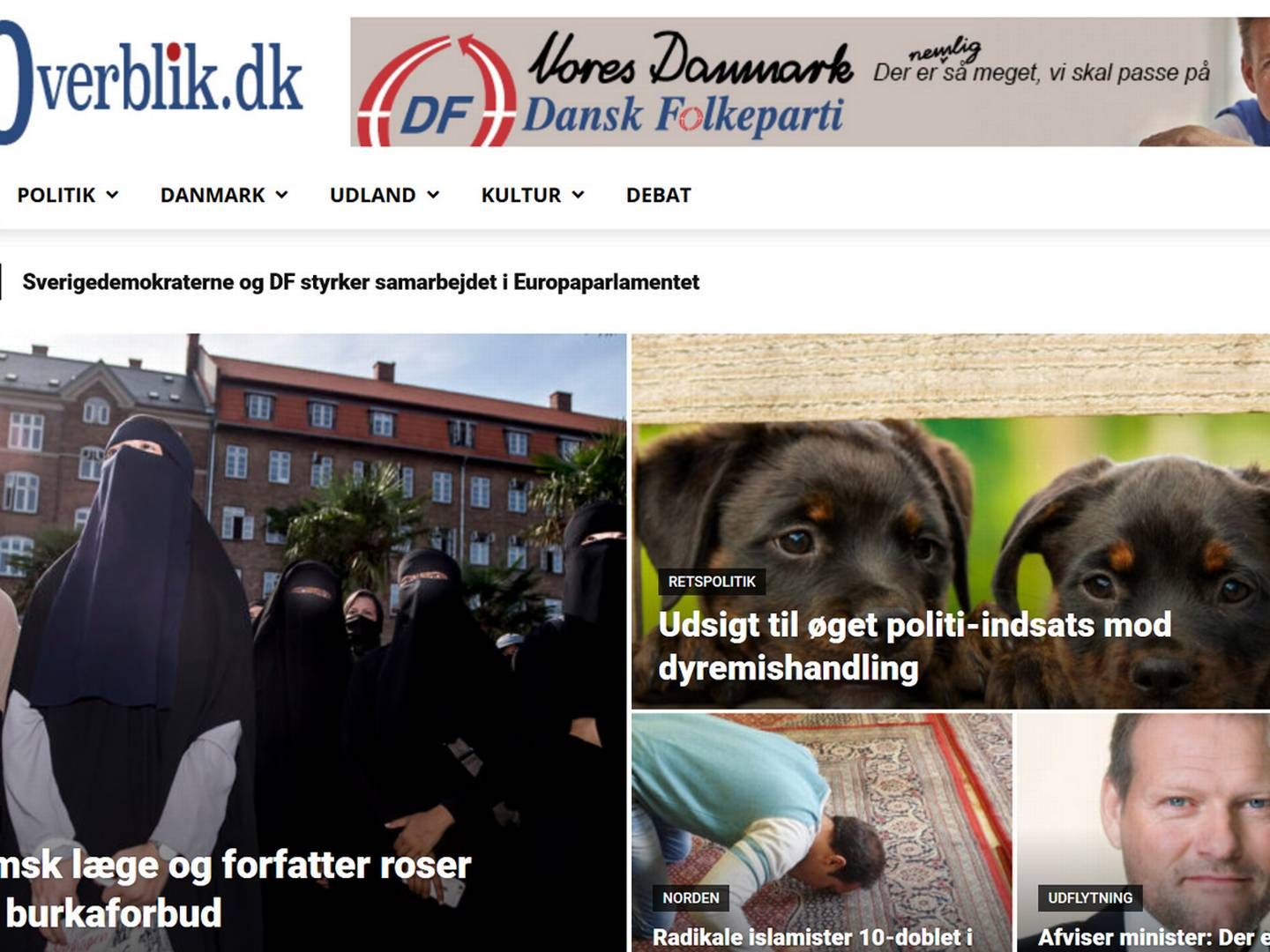 Sådan kommer forsiden på DF's nye medie ditoverblik.dk til at se ud. | Foto: PR