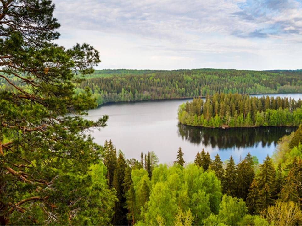 OP's forestry fund owns roughly 62,500 hectares of forests in Finland as well as a 25 percent stake in timber and forestry investment firm Suomen Metsäsijoitus. | Photo: PR: COLOURBOX