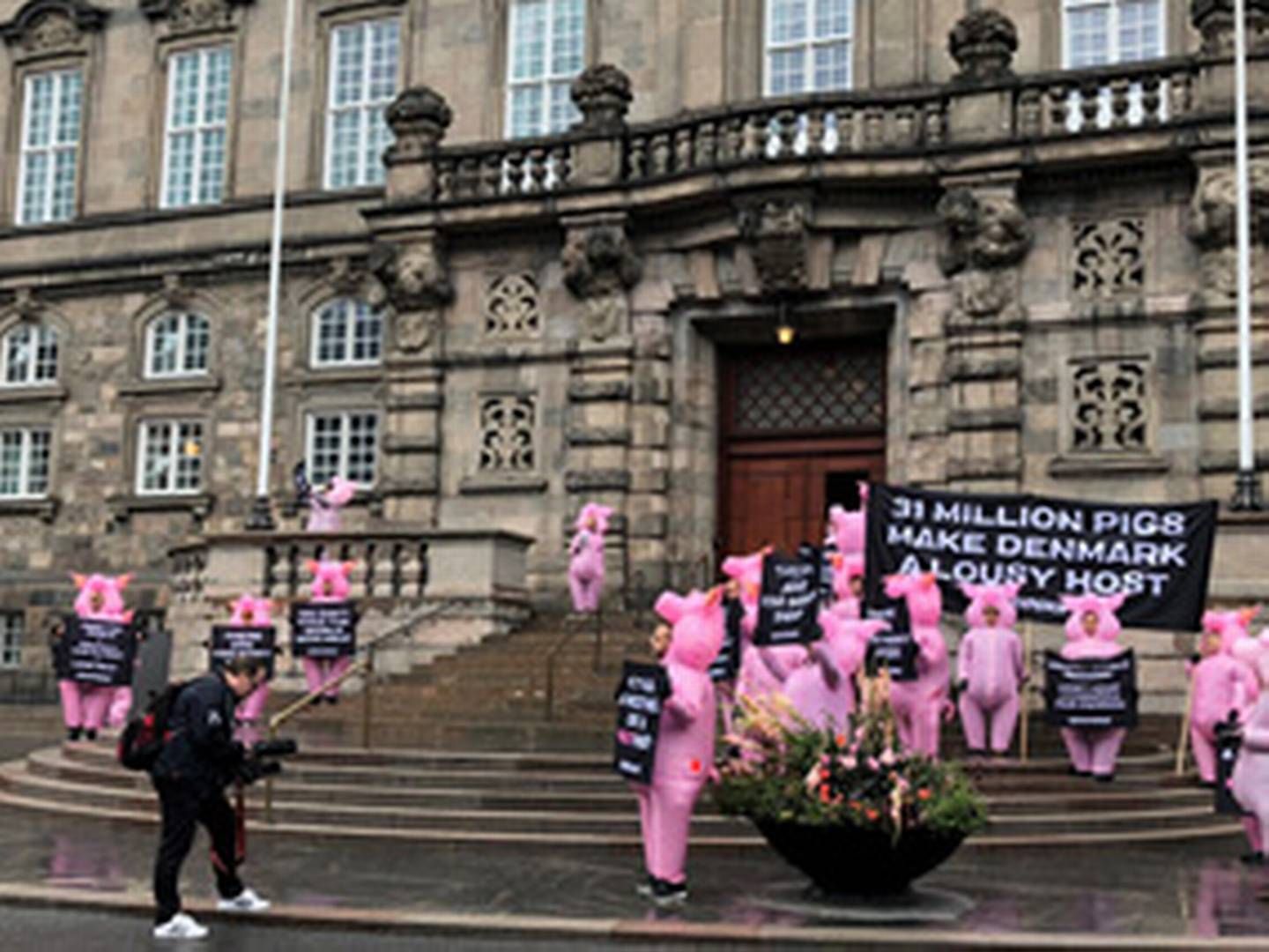 Greenpeace demonstrede foran Christianborg under World Food Summit 2018 i august for at kaste lys over over dansk svineproduktion. | Foto: Ida Gaunø