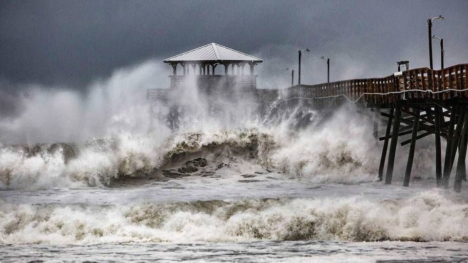 Foto: Ritzau Scanpix/AP/Travis Long