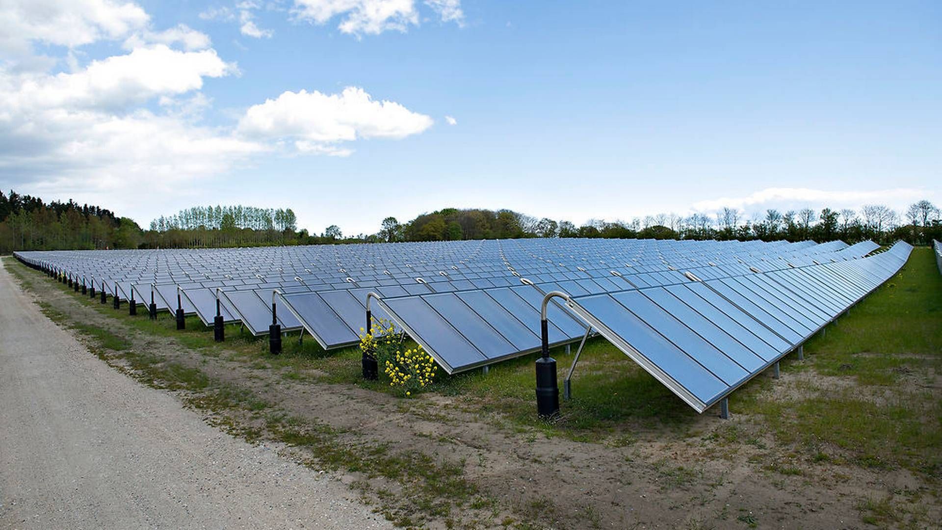 Solceller og vindmøller sidestilles i et nyt udbud, der skal være såkaldt teknologineutralt. | Foto: Henning Bagger/Ritzau Scanpix