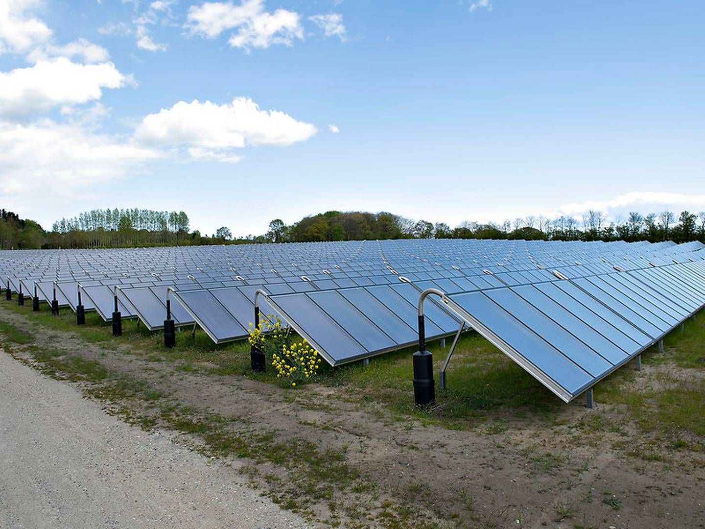 Solceller og vindmøller sidestilles i et nyt udbud, der skal være såkaldt teknologineutralt. | Foto: Henning Bagger/Ritzau Scanpix