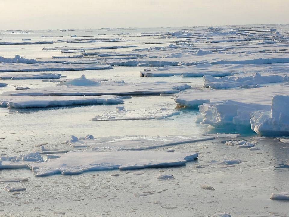 Kraftige havstrømme sender tonstunge mængder plastik mod nord, hvor de ender i det iskolde arktiske hav. | Photo: Ritzau Scanpix/AP/Dirk Notz