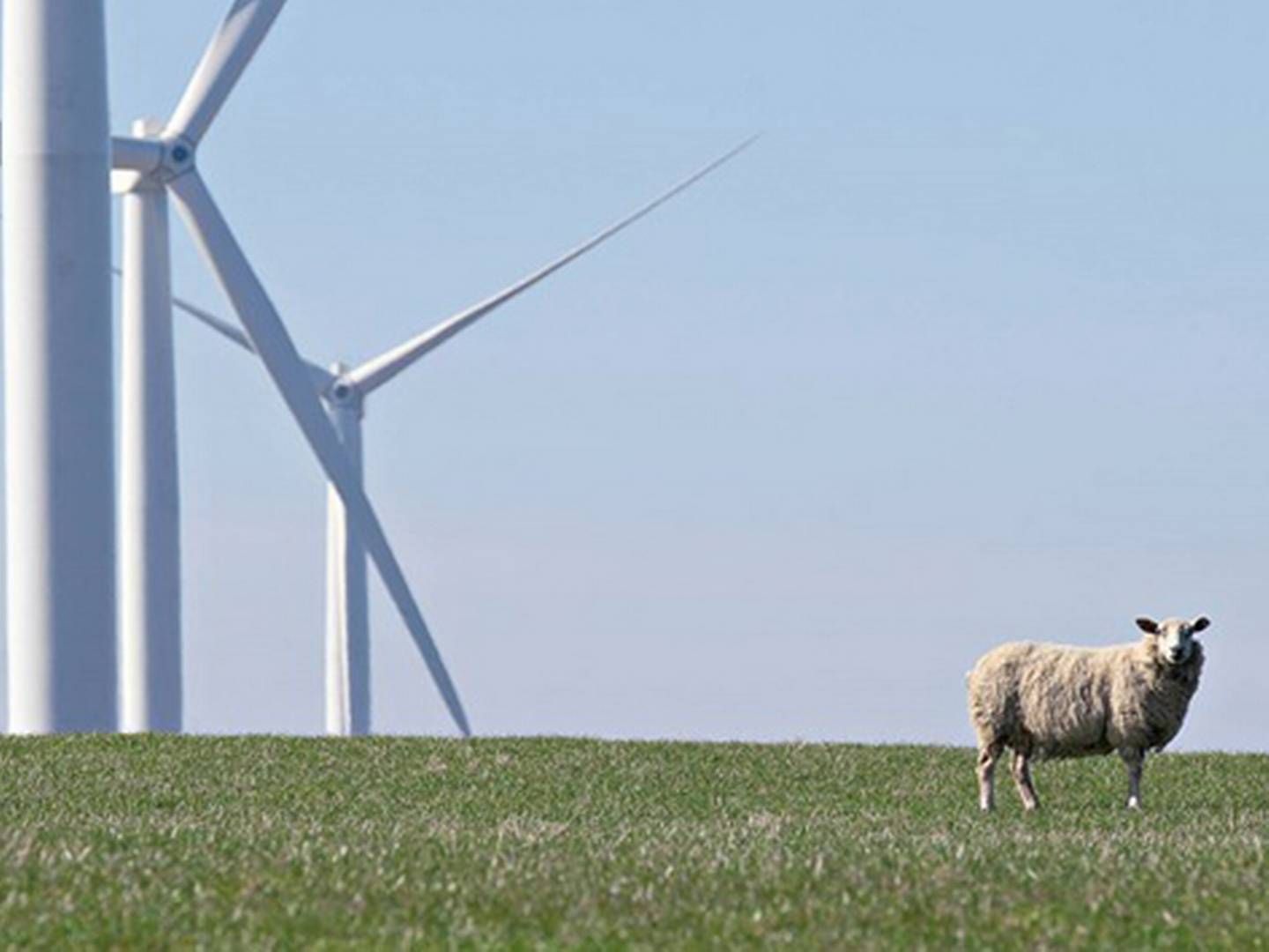 Statkraft has since 1013 been a co-owner of wind farm Baillie in Northern Scotland. | Photo: Jimmy Linus