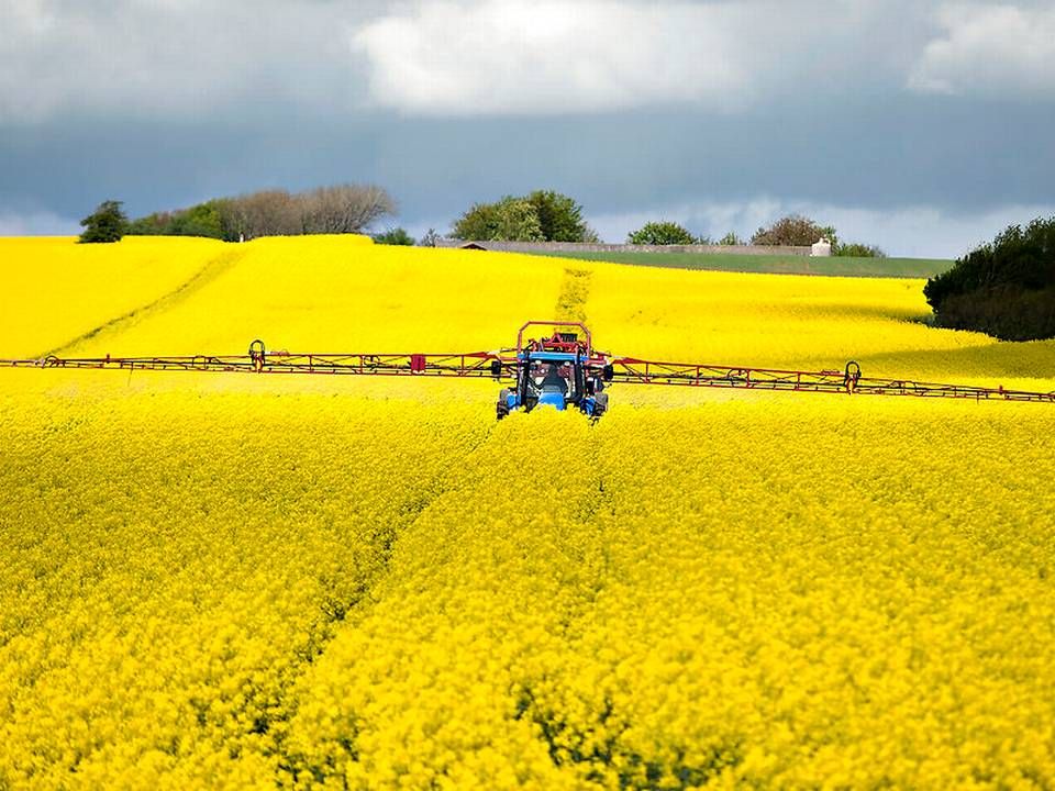 Dele af regeringens klimaplan står til at blive udskudt til efter et valg. Det vækker glæde i Landbrug og Fødevarer. | Foto: Henning Bagger/Ritzau Scanpix