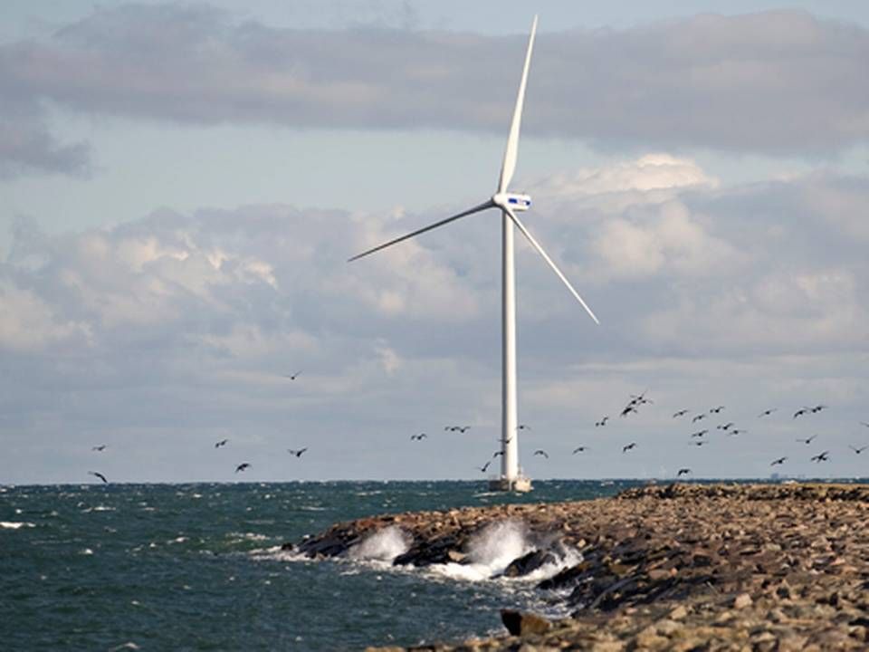 European Energy also became an offshore wind operator this summer with its purchase of offshore wind farm Sprogø Windpark. The company plans to install far more turbines than the farm's seven. | Photo: Ritzau Scanpix/Claus Fisker