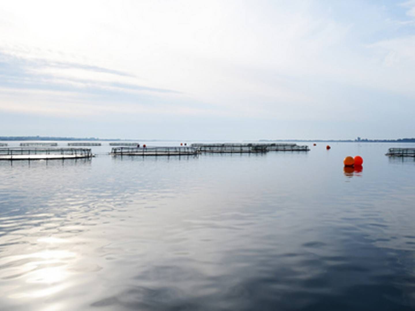 Grønsund Havbrug har fået en ASC-certificering. | Foto: Aquapri