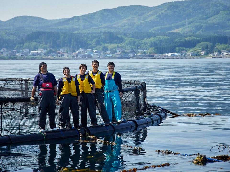 Medarbejderne på havbruget i Japan er lokale japanske fisker, der er blevet oplært på havbruget de sidste to år. | Foto: Kosuke Suzuki