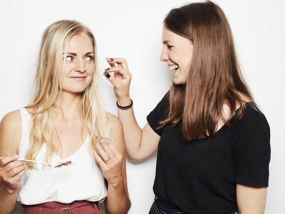 Stifterne af Wholi Foods, Jessica Moore Buhl-Nielsen (t.h.) og Malena Sigurgeirsdottir vil have, at insekterne skal fylde en større del af middagstallerknen. | Foto: Wholi Foods PR