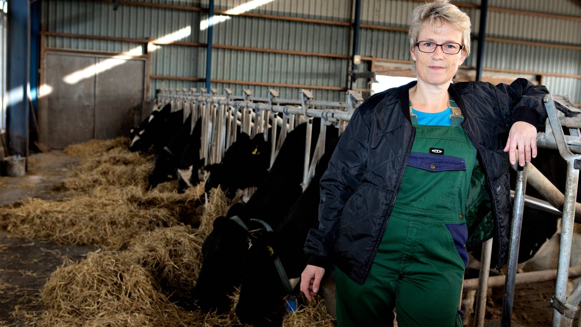Lone Andersen bliver formand for den europæiske landbrugsorganisation Copa og Cocega. | Foto: PR