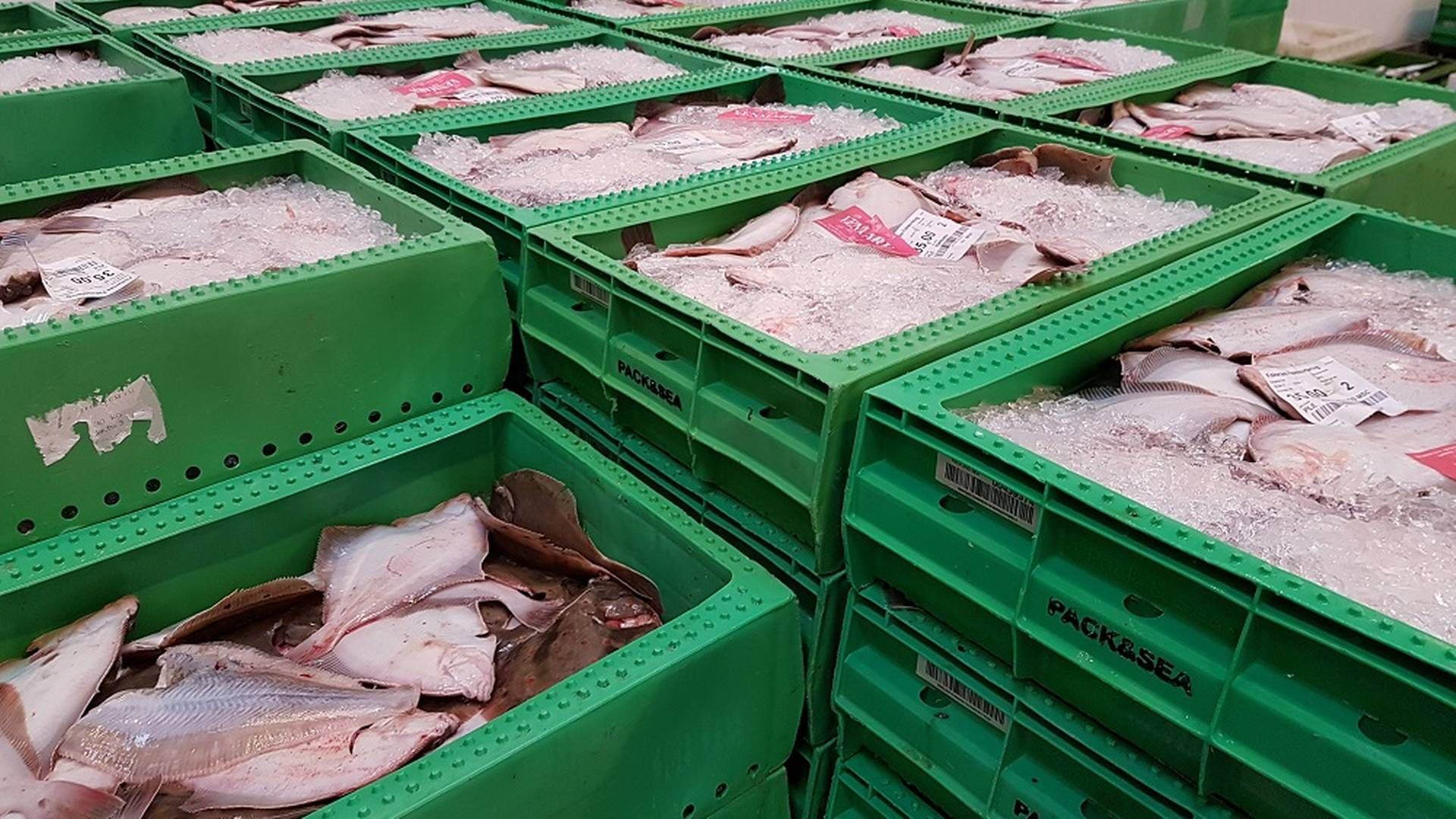 Den nordjyske fiskeleverandør køber størstedelen af sine fisk på aukitionen i Hirtshals. | Foto: Venmark Fisk