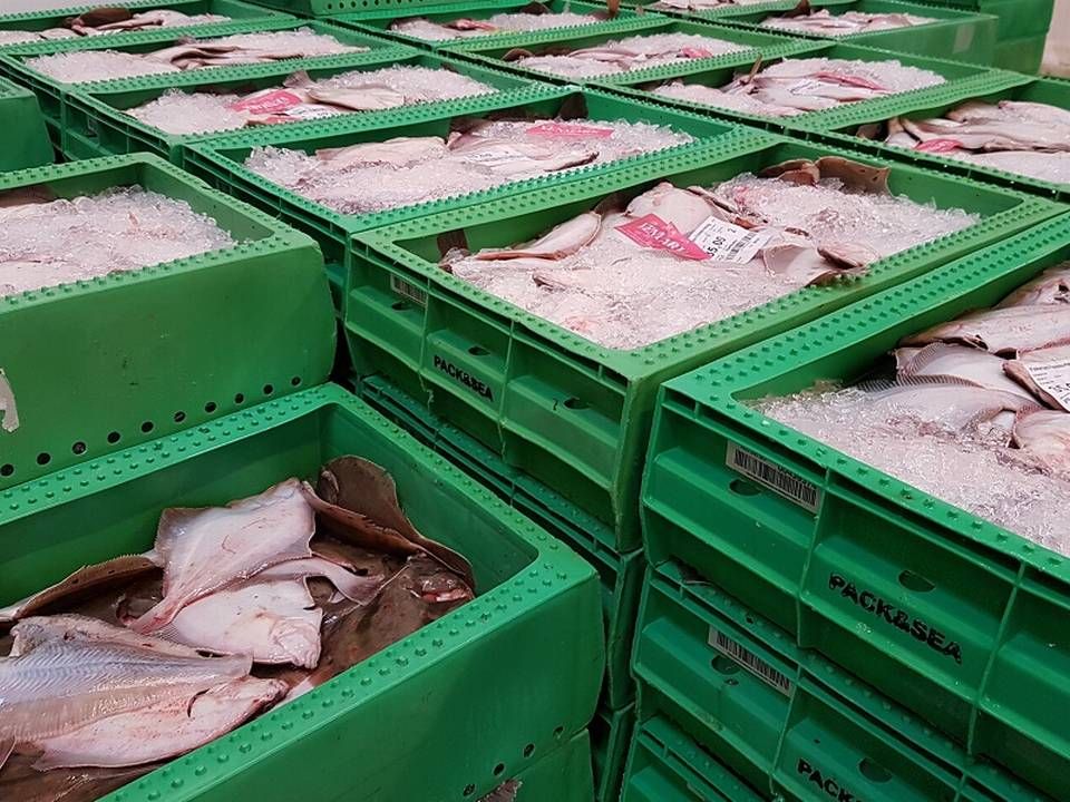 Den nordjyske fiskeleverandør køber størstedelen af sine fisk på aukitionen i Hirtshals. | Foto: Venmark Fisk