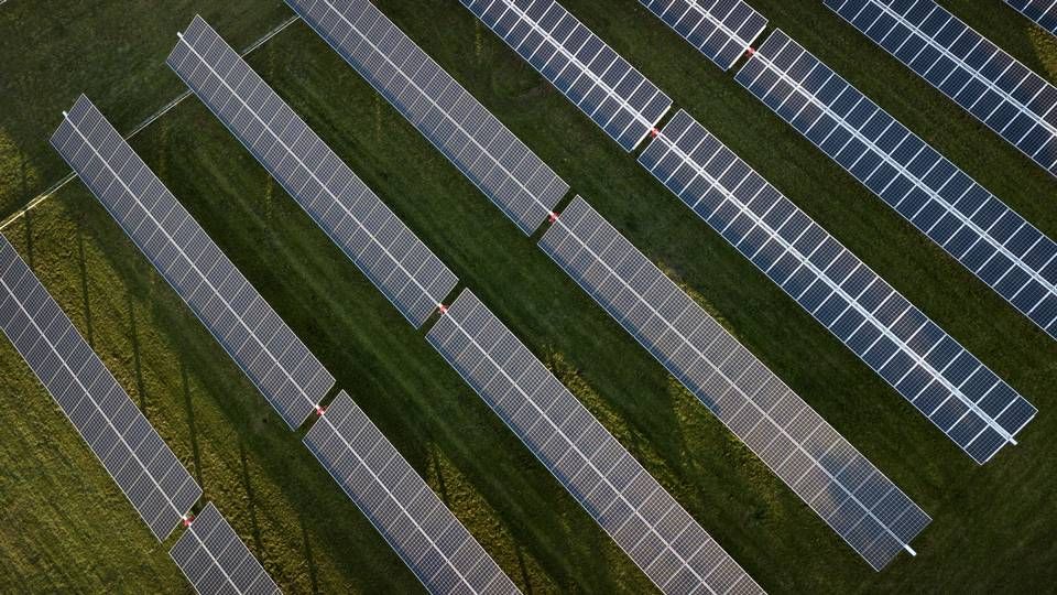 Den grønne obligationsudstedelse fra Den Europæiske Investeringsbank skal bruges til at bekæmpe klimaforandringer. | Foto: Jens Dresling/Ritzau Scanpix