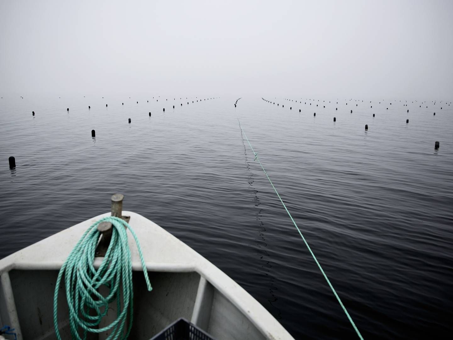 Foto: Joachim Adrian / Ritzau Scanpix