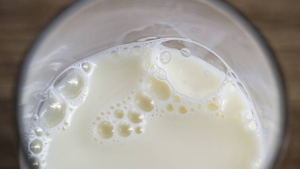 Skal der mælk til spisefrikvarteret- eller kunne det også være havredrik fremover, spørger Plantebranchen. | Foto: HENNING BAGGER/Henning Bagger / henning bagger