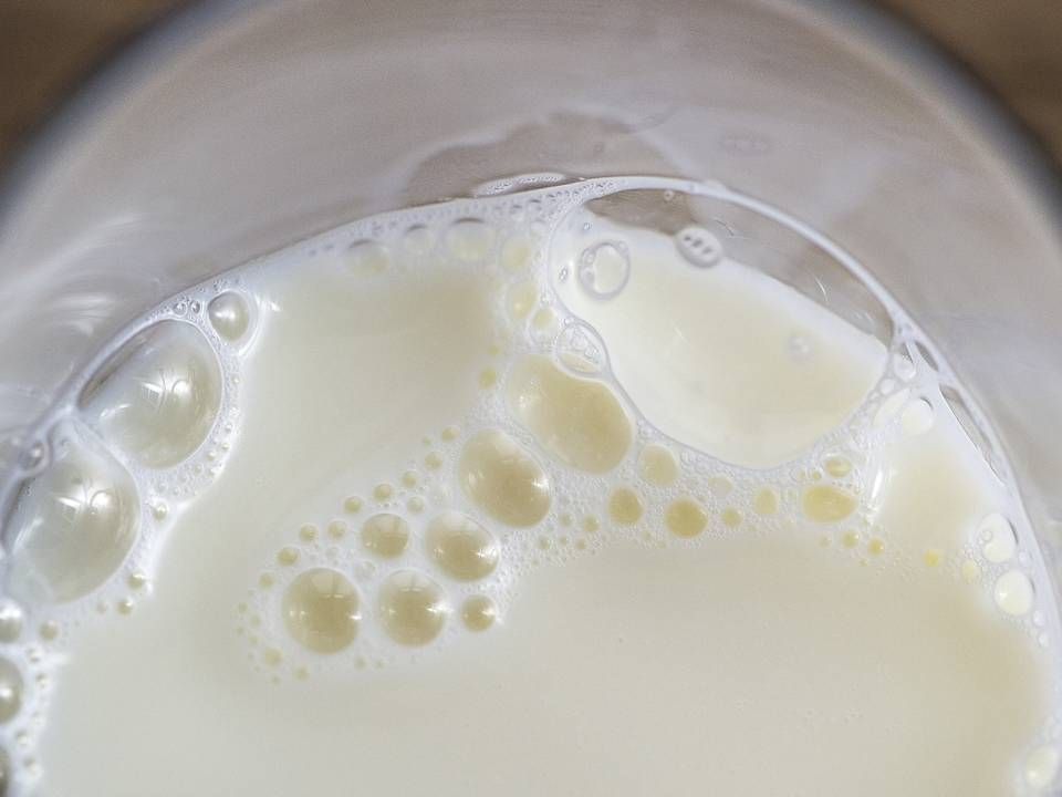 Arla vil fra nytår ikke længere skrive på svenske øko-mælkekartoner, at mælken er klimakompenseret. | Foto: HENNING BAGGER/Henning Bagger / henning bagger