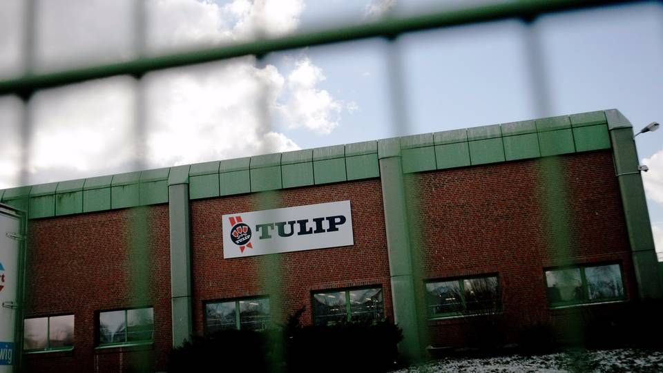 Pengene fosser ud af Danish Crowns største datterselskab, britiske Tulip Ltd. De seneste tre år har selskabet haft et samlet underskud før skat på næsten 1,4 mia. kr. | Foto: Mads Nissen
