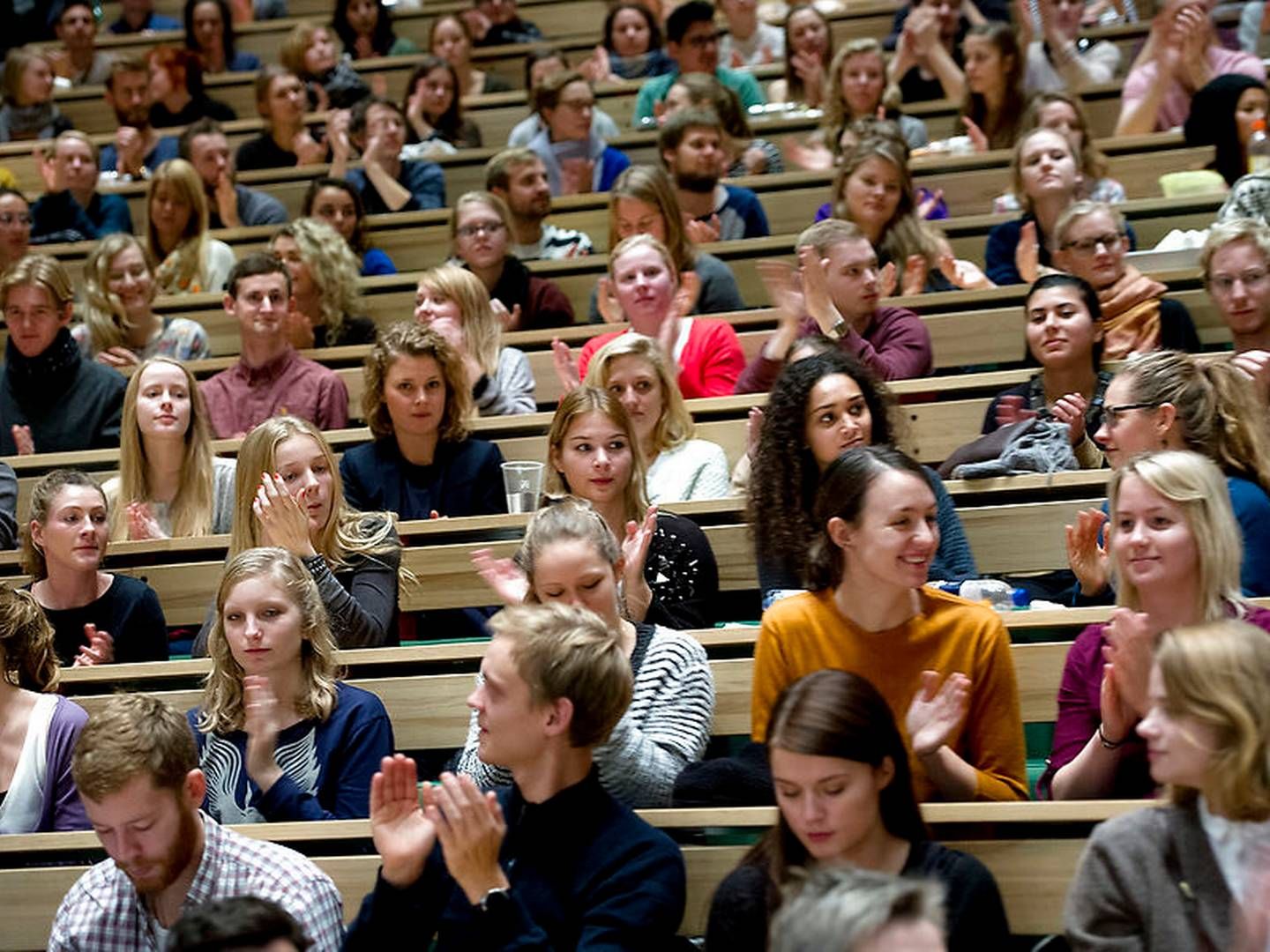 Mere end 8000 unge er blevet afvist på deres drømmestudie. | Foto: Keld Navntoft / Ritzau Scanpix