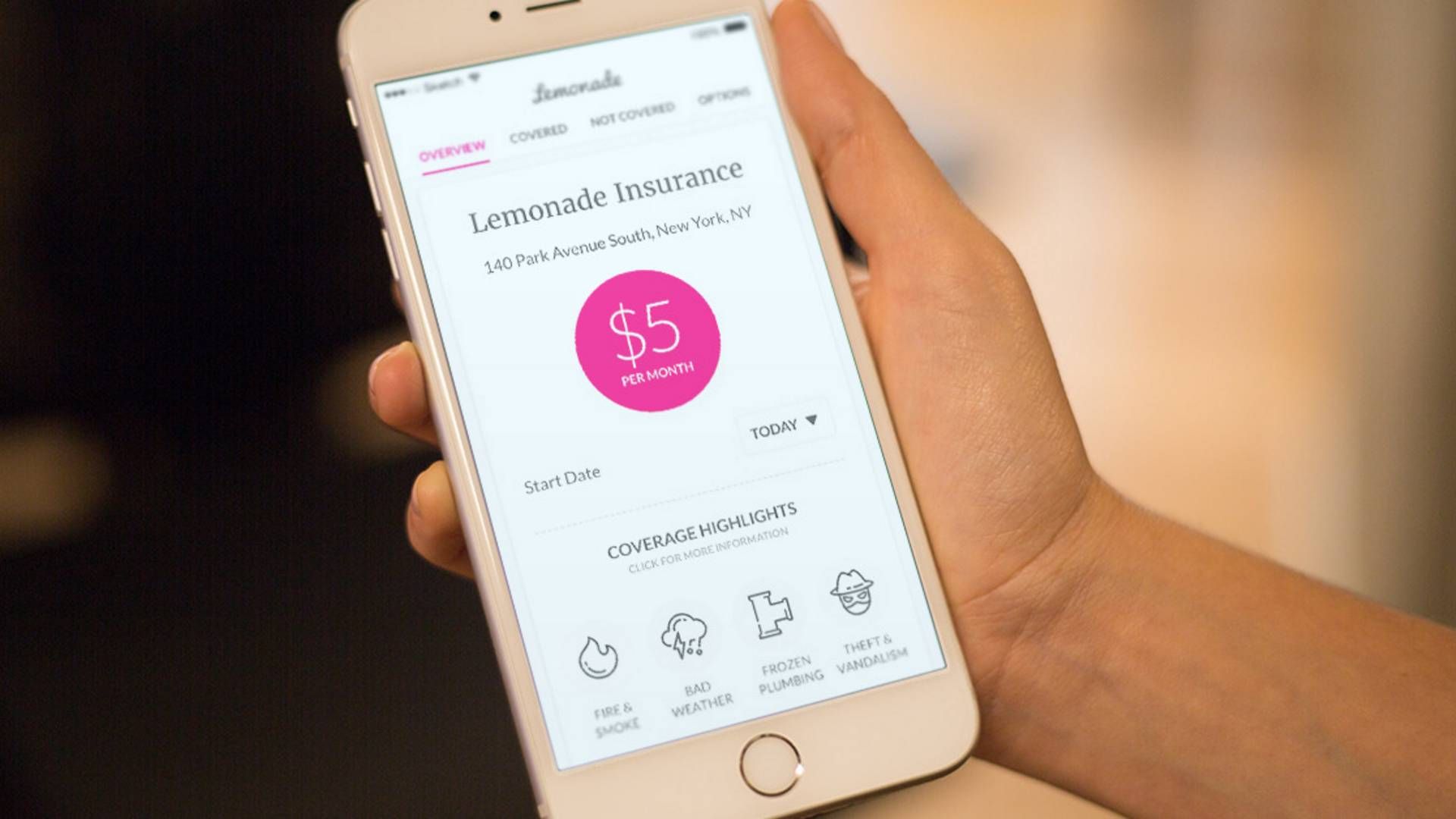 Softbanks investering i Lemonade har været med til at løfte de samlede investeringer i insutech i andet kvartal. | Foto: PR(Lemonade