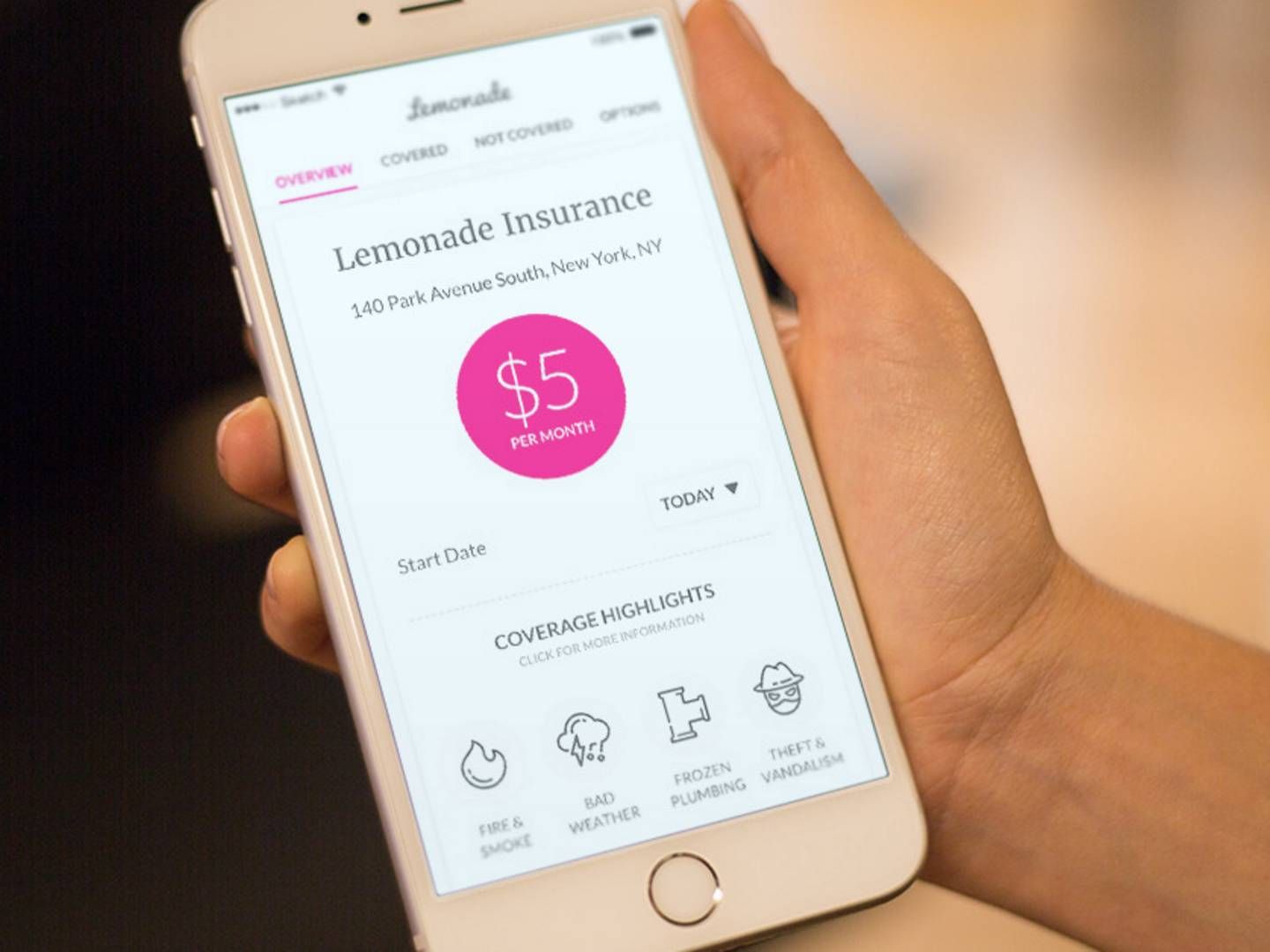 Softbanks investering i Lemonade har været med til at løfte de samlede investeringer i insutech i andet kvartal. | Foto: PR(Lemonade