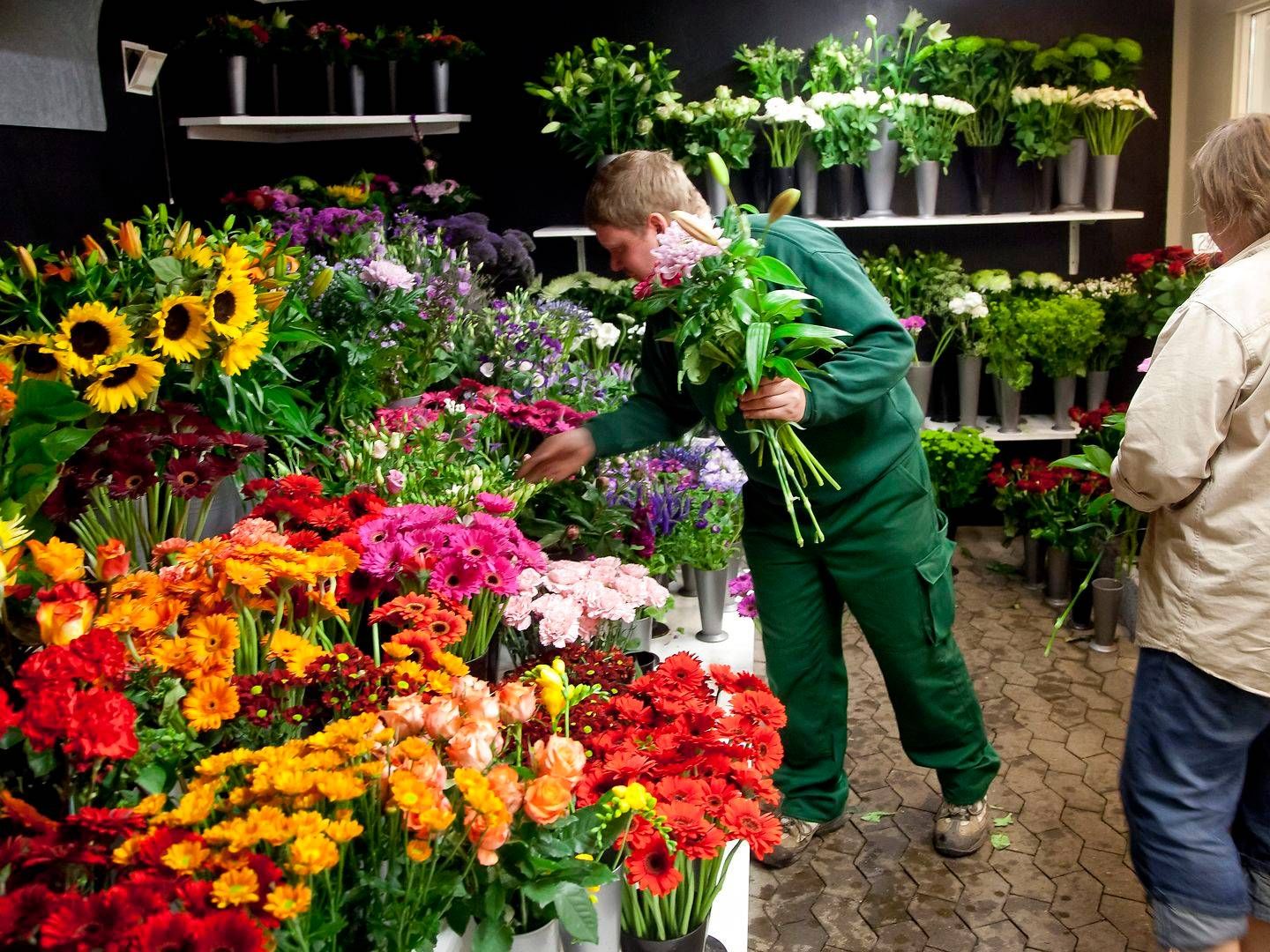 Arkivfoto. | Foto: Morten Dueholm / Midtjyske Medier / Ritzau Scanpix