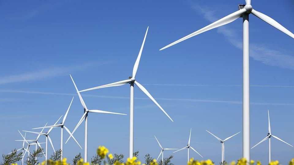 Hvis vindmøller stod som sild i en tønde på europæisk land, ville alle verdens energikvaler være ovre, konkluderer nyt studie. | Foto: Thomas Borberg