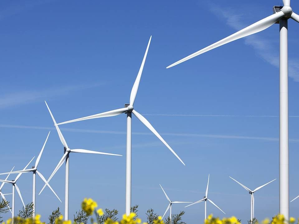 Hvis vindmøller stod som sild i en tønde på europæisk land, ville alle verdens energikvaler være ovre, konkluderer nyt studie. | Foto: Thomas Borberg