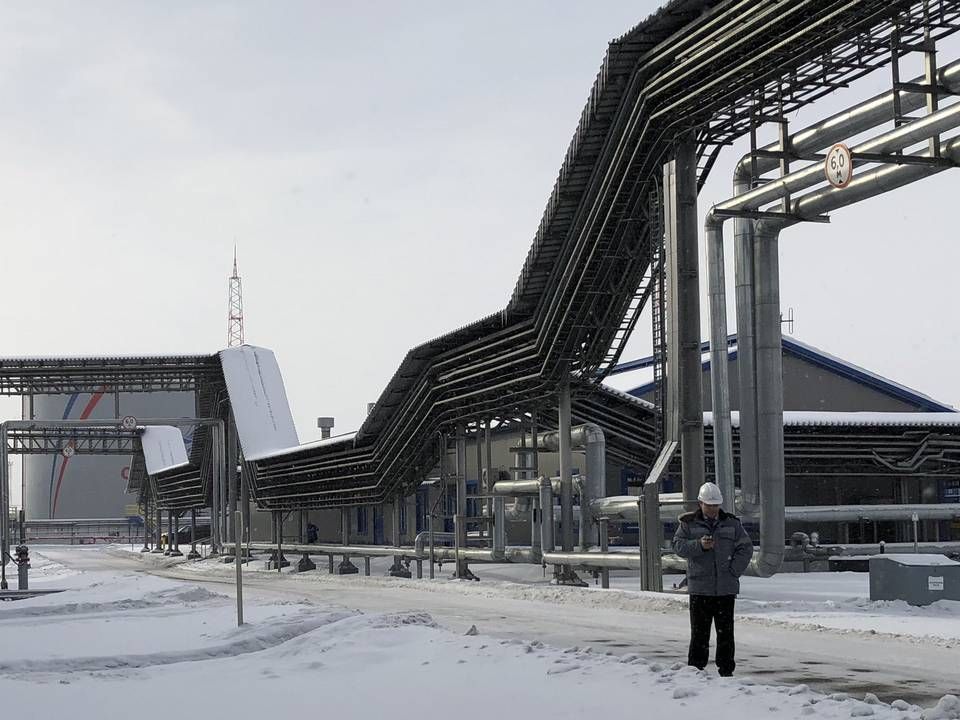 Den forurende olie kom fra en rørledning ejet af Transneft i Ust-Luga. | Foto: Vladimir Soldatkin / Reuters / Ritzau