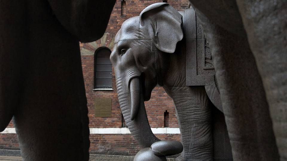 Elefanterne i Carlsberg Byen kan se frem til liv fra endnu flere beboere i området de kommende år. | Foto: Finn Frandsen