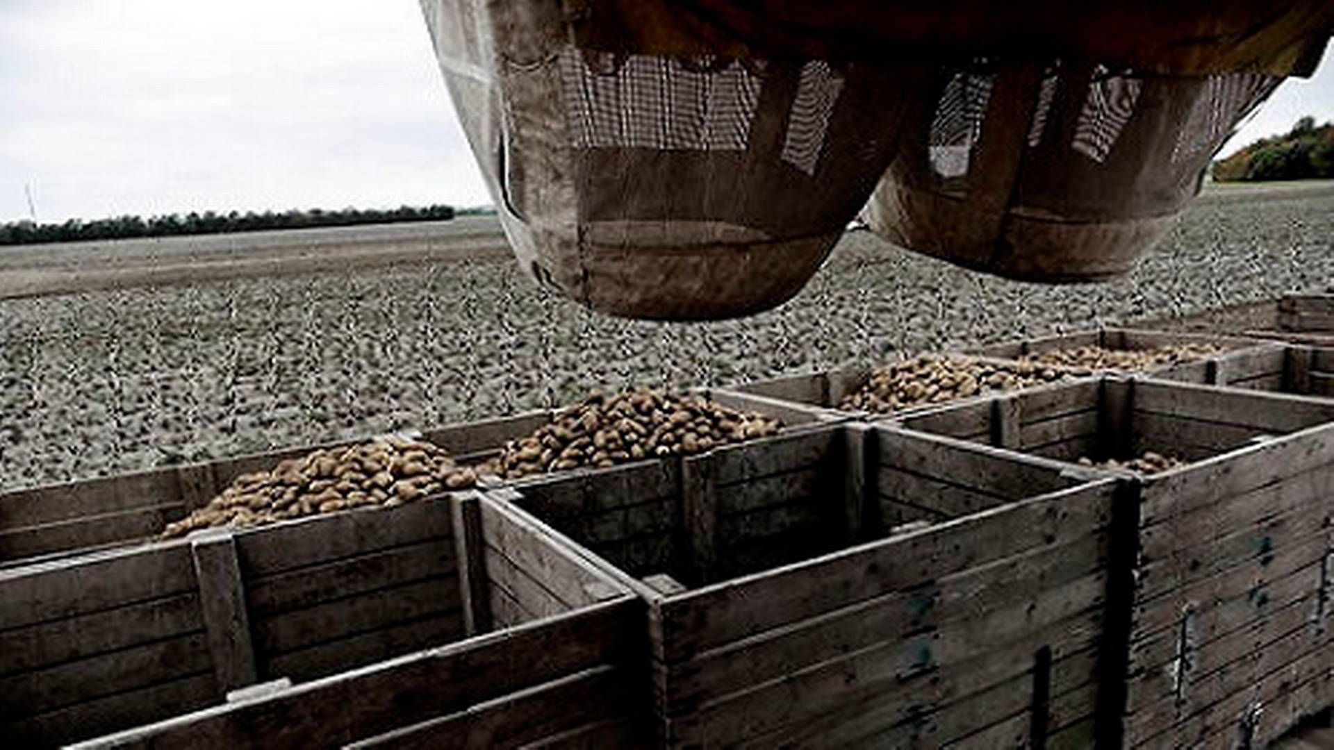 Foto: Gorm Branderup/Jyllands-Posten/Ritzau Scanpix