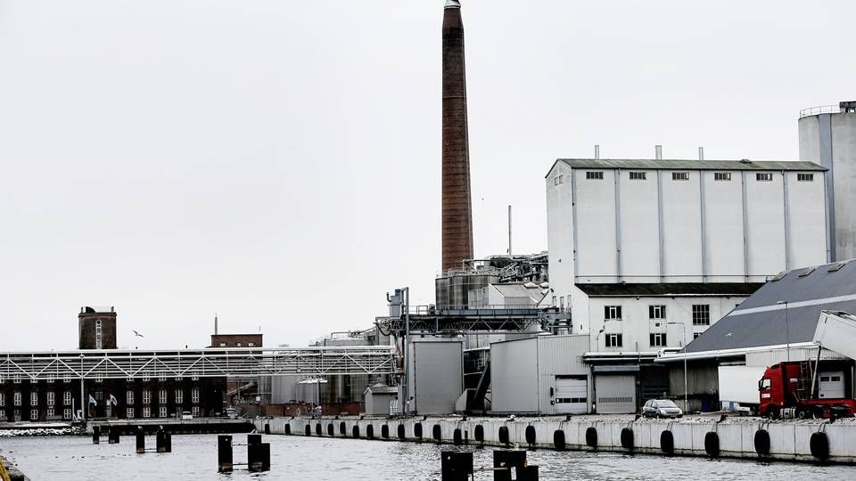 Udover hovedsædet i Sverige er AAK også stadig tilstede i Aarhus. | Foto: Gregers Tycho / Ritzau Scanpix