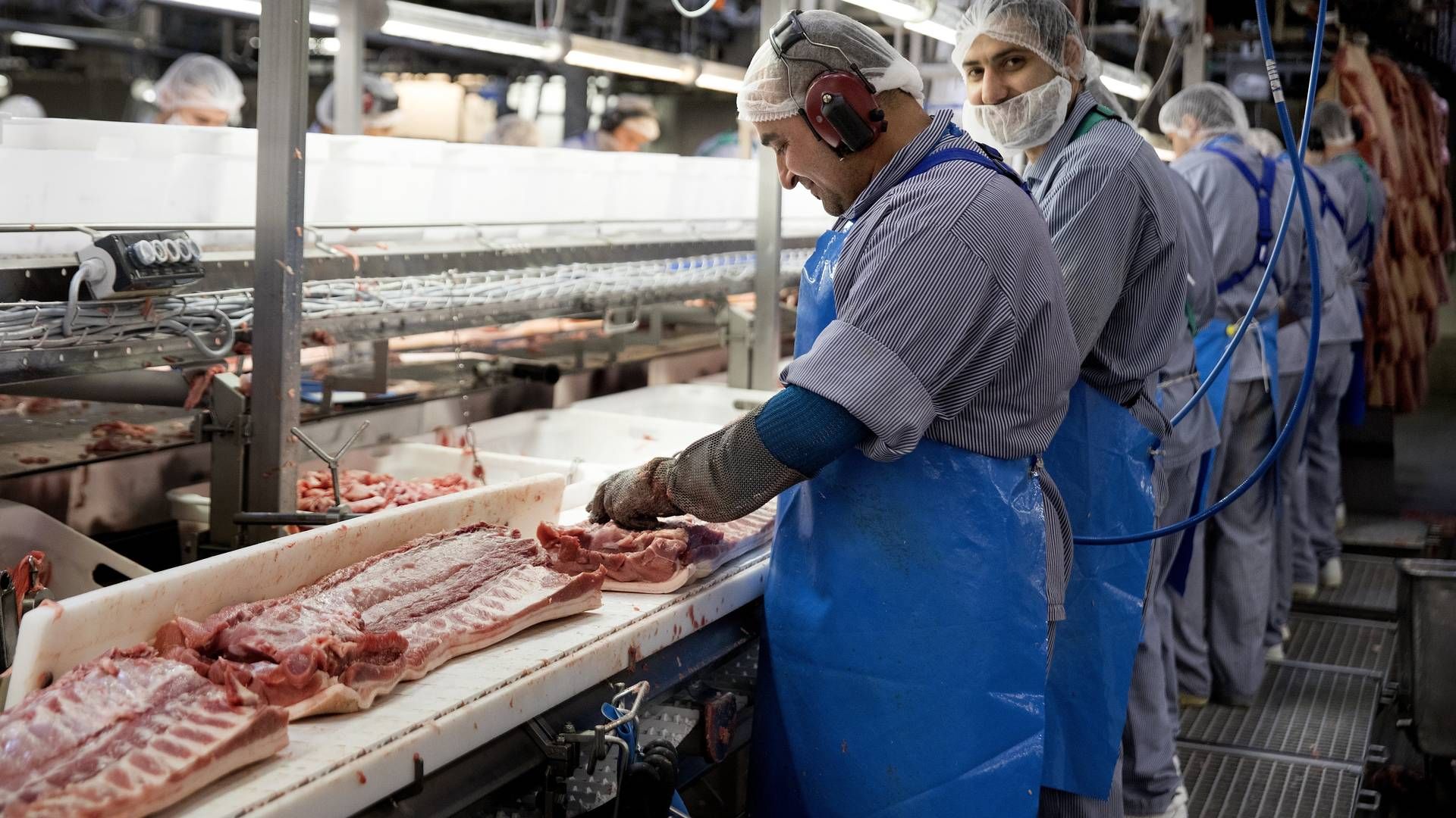 Værdien af de danske slagteriers eksport til Kina er i år vokset 70 pct. Hele fødevareklyngens eksport ventes i år at blive større end nogensinde før. | Foto: Finn Frandsen