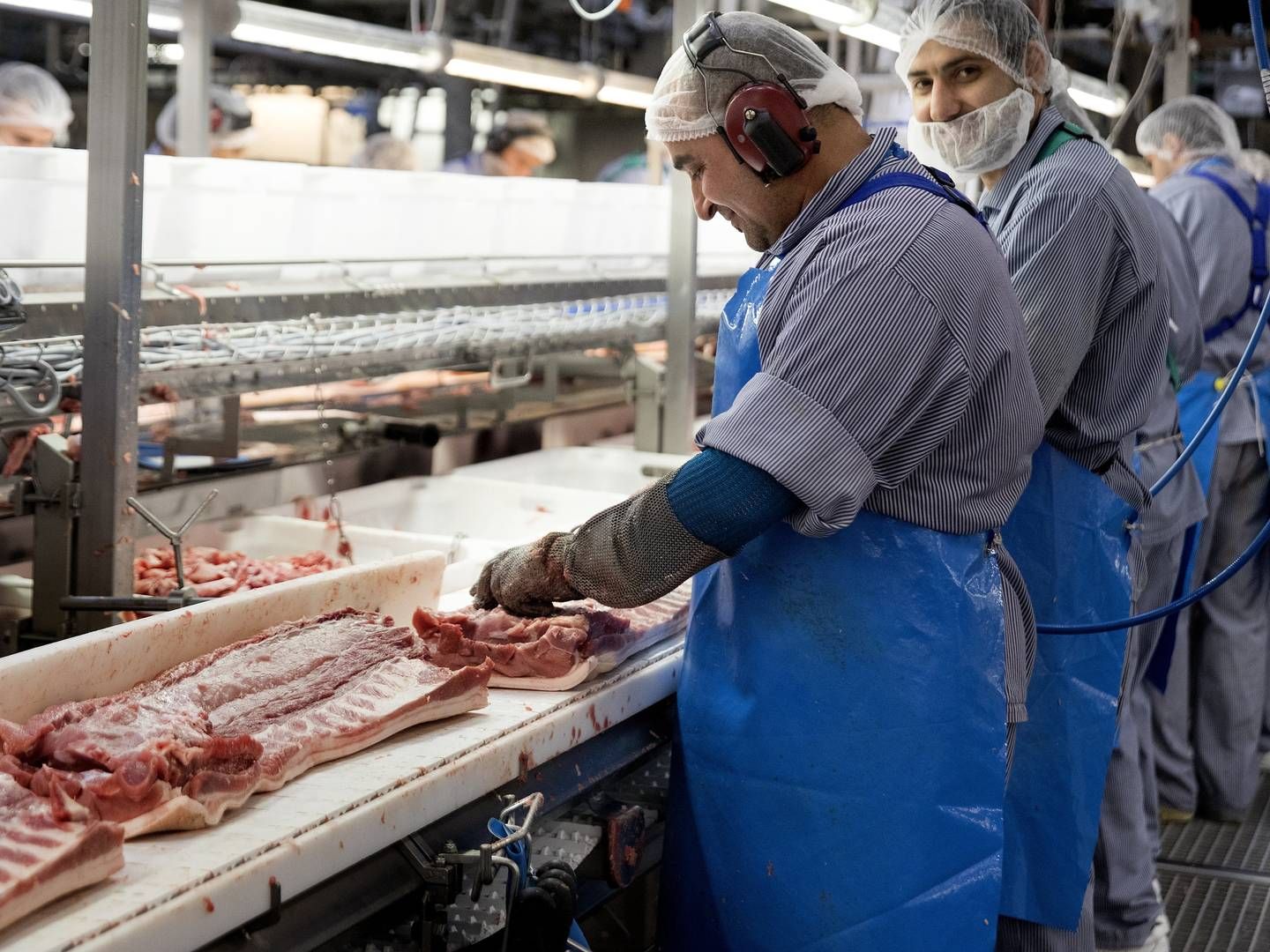 Værdien af de danske slagteriers eksport til Kina er i år vokset 70 pct. Hele fødevareklyngens eksport ventes i år at blive større end nogensinde før. | Foto: Finn Frandsen