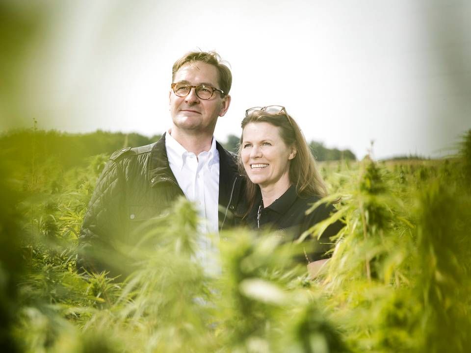 Ejerne af Møllerup gods tjente godt på salget af deres aktier i Canopy Growth, som producerer cannabis. Aktierne steg med over 30 pct. ifølge Børsen på en enkelt dag, da en af verdens største alkoholproducenter, Constellation Brands, som bl.a. producerer øllen Corona, i august sidste år købte knap 40 pct. af Canopy Growth for 4 mia. dollar. | Foto: Mikkel Berg Pedersen/Ritzau Scanpix