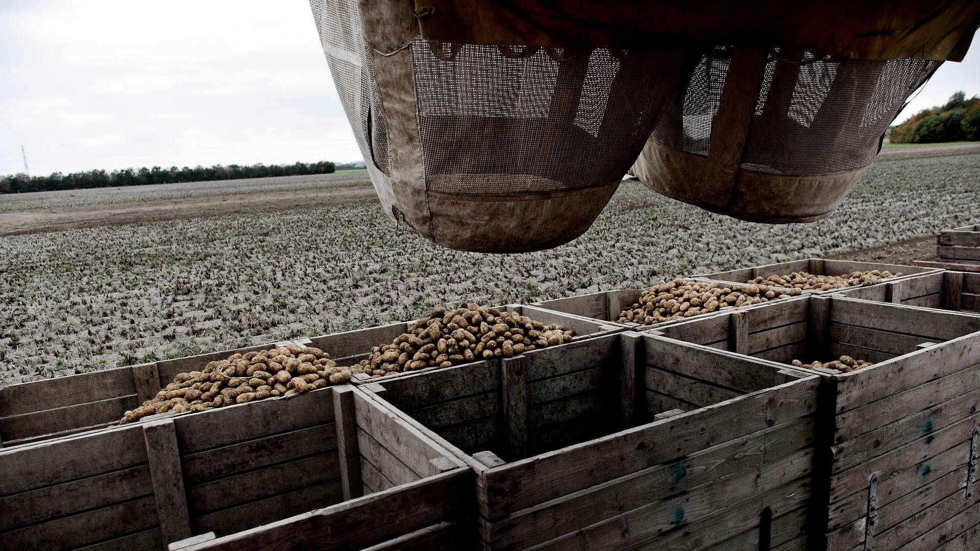 Foto: Gorm Branderup/Jyllands-Posten/Ritzau Scanpix